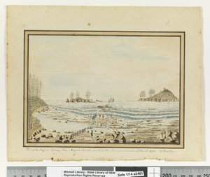 Opp. p. 195. `Partie du récif dans la baie de Sydney, île Norfolk, sur lequel le Sirius s