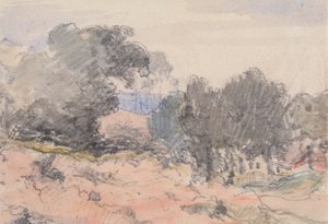 Paysage : maison et arbres