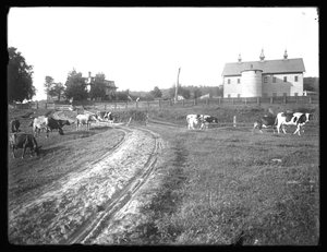 La grange de la ferme McCready et la résidence Thomas, Pennsylvanie, c.1913 - William Davis Hassler