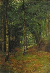Étude du soleil à travers les arbres, Concarneau