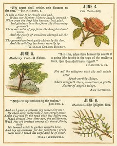 Page du Livre Anniversaire de la Bible Emblème