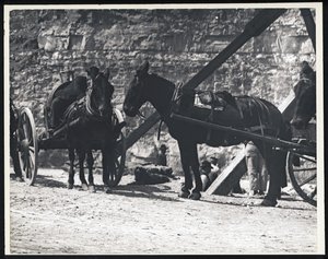 Photographie horizontale en noir et blanc de deux chariots tirés par des chevaux dans une carrière