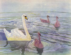 Cygne et cygneaux