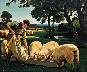 Vue de la ferme - William Gunning King