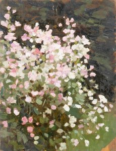 Fleurs roses - William Gunning King