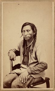 Loup gris, années 1860 (photo) - William Gunnison Chamberlain