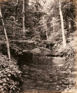 Lac Owasco, Cascade Glen, pour la Lehigh Valley Railroad - William H. Rau