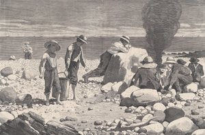 Croquis en bord de mer - Un Clam-Bake Harper