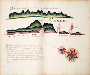 Canette