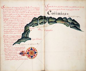 Cojimies