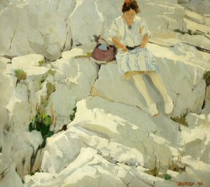 Papillon sur les rochers