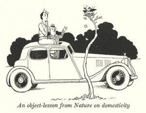 Une leçon de la nature sur la domesticité (lithographie)