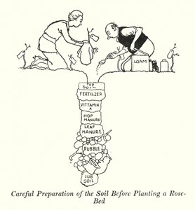 Préparation minutieuse du sol avant de planter un parterre de roses (lithographie) - William Heath Robinson