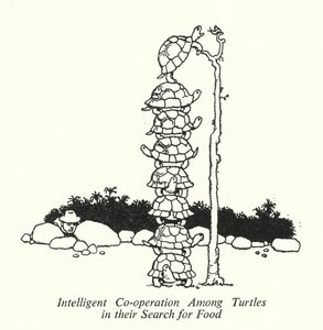 Coopération Intelligente Parmi les Tortues dans leur Recherche de Nourriture - William Heath Robinson