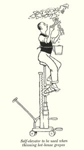 Élévateur automatique à utiliser pour éclaircir les raisins de serre - William Heath Robinson