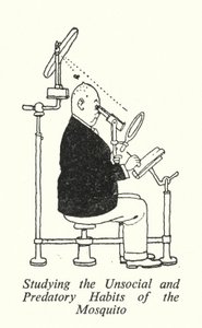 Étudier les habitudes antisociales et prédatrices du moustique - William Heath Robinson