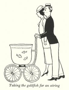 Promener le poisson rouge