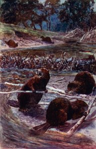Ils construisent un barrage sur le ruisseau - William Henry Charles Groome