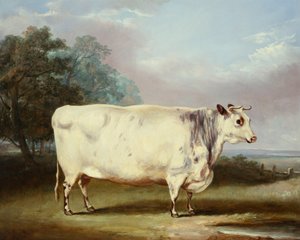 Une vache primée, 1838