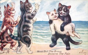 Carte postale humoristique de chat