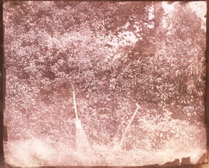 Balai et pelle, 1842 - William Henry Fox Talbot