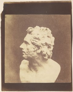 [Buste de Patrocle] - William Henry Fox Talbot