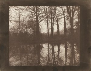 Arbres et reflets - William Henry Fox Talbot