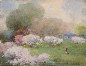 Fleurs de cerisier