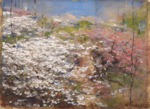 Champ de fleurs - William Henry Holmes
