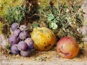 Raisins noirs, coing et Newtown Pippin, 1861