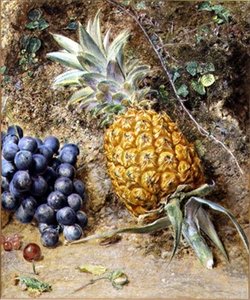 Raisins et ananas