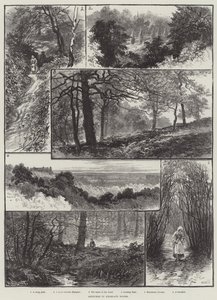Croquis dans les bois de Highgate