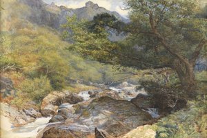 Sur le Lyn, North Devon