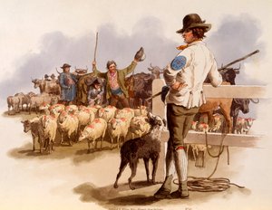Smithfield Drover, de 