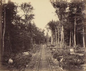 Branche du lac Ganoga, vers 1895 (photo) - William Herman Rau