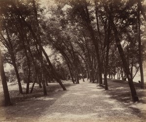 Terrain de pique-nique, c. 1895 (photo) - William Herman Rau