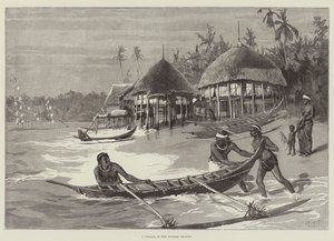 Un village dans les îles Nicobar