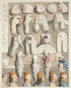 Les cinq ordres de Perruques, illustration de 