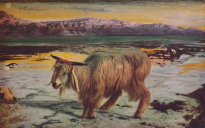 Le bouc émissaire, 1856, vers 1950 - William Holman Hunt