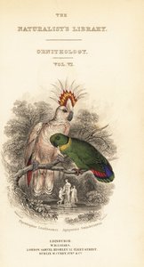 Page de titre avec vignette de la cacatoès de Major Mitchell et de l
