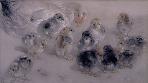 Étude de Poules - William Huggins
