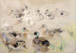 Étude de Canards