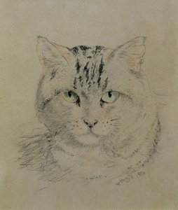 Chat tigré, 1874