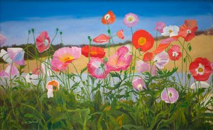 Coquelicots