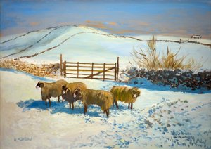 Neige dans les Yorkshire Dales