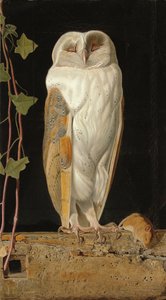 La chouette blanche : "Seul et réchauffant ses cinq esprits, la chouette blanche dans le clocher est assise", 1856
