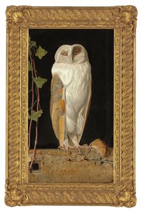 La chouette blanche
