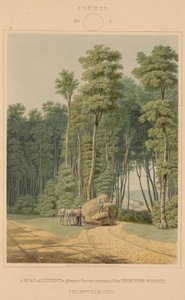 Été - Un accident de route. Un aperçu à travers une ouverture de la forêt primitive. Thornville, Ohio - William James Bennett after George Harvey