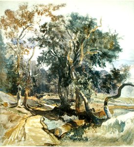 Un chemin forestier - William James Muller