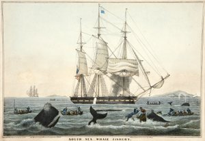 Pêche à la baleine dans le Pacifique Sud, pub. 1825
